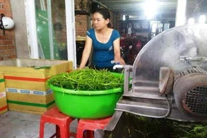 TP.HCM: Lại phát hiện cơ sở ngâm rau bằng hóa chất