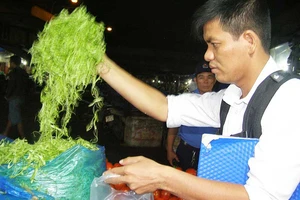 Truy tìm người ngâm rau muống bào với hóa chất độc