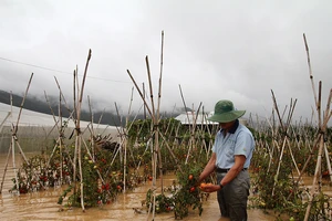  Lâm Đồng chới với khi thủy điện xả lũ