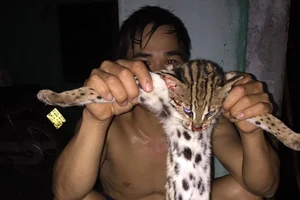 Giết thịt mèo rừng rồi đăng Facebook