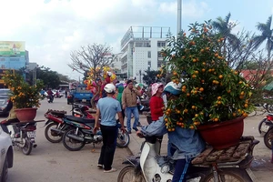 Người dân hối hả mang xuân về nhà ngày 30 tết