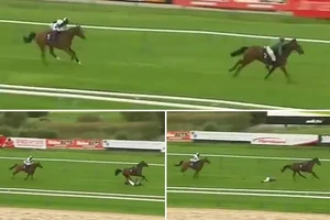 Hi hữu: Nữ VĐV ngã ngựa trên đường đua vì… ngựa