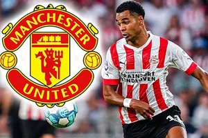 Cody Gakpo lên tiếng nói rõ về khả năng gia nhập MU