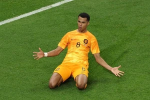 Hà Lan hạ Senegal phút cuối, Mỹ hòa Xứ Wales