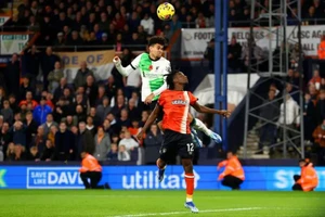 Liverpool - Brentford: Trở lại mạch thắng