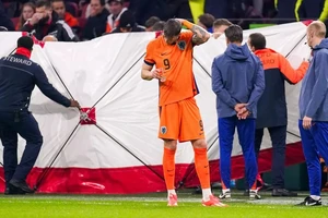 Cập nhật tình hình HLV của Hungary ngã gục trên sân