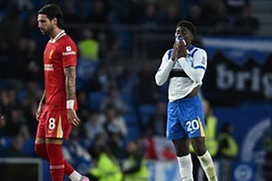 Baleba đáp trả những lời chỉ trích của Brighton