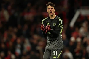 Lammens đáp trả bình luận tàn nhẫn của Schmeichel