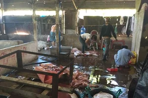 Phát hiện hai cơ sở giết mổ heo không đảm bảo vệ sinh