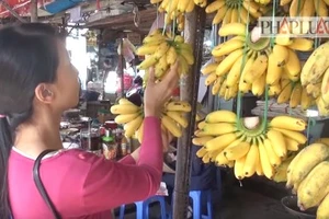 Làm sao để nhận biết chuối chín do ngâm hóa chất? 