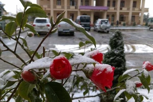 Mưa tuyết, băng giá còn tiếp diễn tại nhiều tỉnh miền Bắc