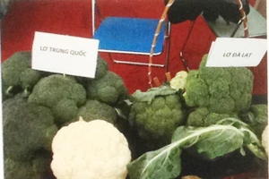 Để tránh mua phải rau, củ, quả Trung Quốc