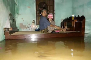 LĐLĐ TP.HCM kêu gọi CBVC-LĐ ủng hộ nhân dân vùng lũ