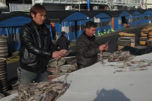 Tạm dừng đưa lao động tại 109 quận, huyện sang Hàn Quốc