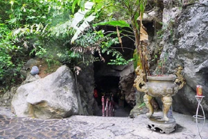 Giám định ADN các liệt sĩ hy sinh tại hang Tám Cô 