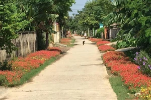 Làng hoa mười giờ đẹp bình dị bên dòng Nhật Lệ