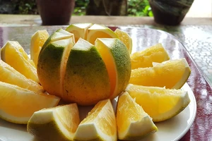 Đặc sản cam Cao Phong lên máy bay phục vụ khách VIP