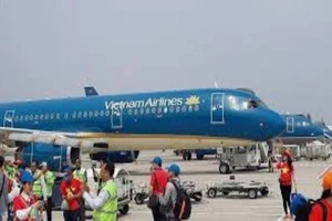 Thuê máy bay cho cổ động viên sang UAE ủng hộ tuyển VN