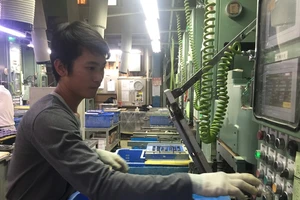 Nhật Bản cảnh báo du học sinh Việt Nam trá hình