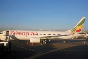 Việt Nam chưa có loại máy bay Boeing 737 Max