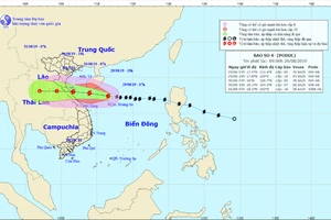 Yêu cầu sân bay Vinh, Đồng Hới dừng tiếp thu máy bay vì bão