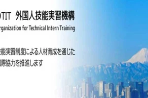 2 công ty Việt đưa thực tập sinh sang Nhật có thể bị xóa tên