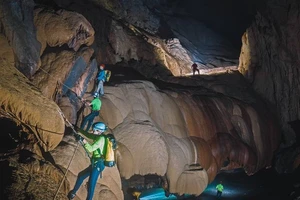 Oxalis tạm ngừng khai thác nhiều tour ở Phong Nha