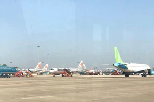 Các hãng hàng không đồng loạt tăng chuyến bay nội địa