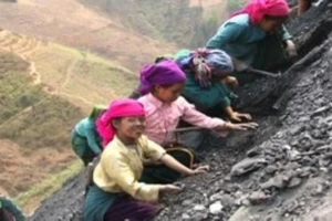 Cảnh báo dịch COVID-19 dẫn tới lạm dụng lao động trẻ em