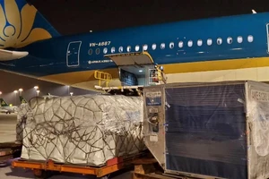Vietnam Airlines tăng thị phần chở hàng xuất nhập khẩu
