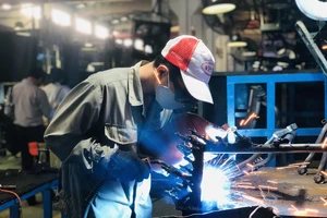 Lao động Việt có cơ hội làm việc lâu dài tại Đức