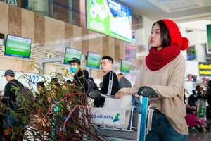 Máy bay chở mai, đào tết: gần nửa triệu đồng/bó 