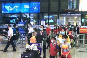 Hàng không Việt dịp tết: Sản lượng sụt giảm chưa từng có