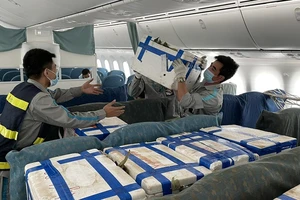 100 tấn vải thiều 'ngồi' khoang khách máy bay Boeing vào TP.HCM 