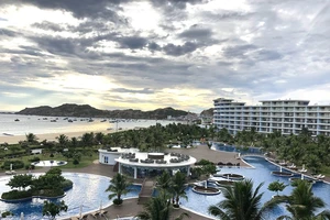 Ngành nghề nào giảm lương, nhân sự nhiều nhất trong đại dịch? 