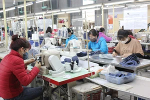 Nhiều công ty dệt may kín đơn hàng, muốn tuyển lao động