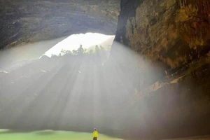 COVID-19 tác động tới du lịch 'không khác gì thảm họa'