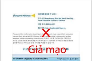 Giả mạo website để bán vé máy bay quốc tế