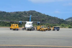 Cảnh báo chim uy hiếp khai thác hàng không tại sân bay Côn Đảo