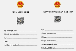Bổ sung giấy khai sinh điện tử vào danh mục giấy tờ đi máy bay