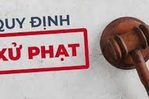 Bị cấm bay 12 tháng do sử dụng giấy tờ không hợp lệ