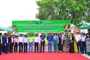 Vườn thực phẩm cộng đồng: Trồng thực phẩm sạch, giảm phát thải CO2