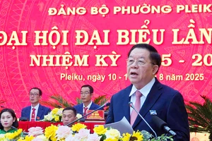 Xây dựng Pleiku thành phường kiểu mẫu, xứng tầm vùng động lực của tỉnh Gia Lai