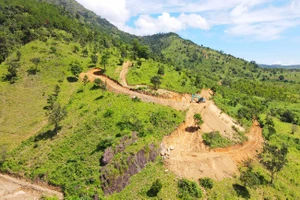 Bị phạt vì tự ý mở đường lên núi Chư Nâm 