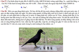 Thú vị chuyện 'Con quạ thông minh' vào đề thi toán 