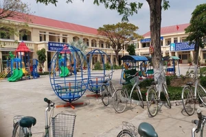 Bản tường trình của cô giáo bị bắt quỳ gối nói gì?