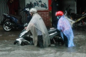 Ngưng tổ chức mọi hoạt động trong chiều tối 26-11