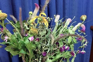 Rưng rưng ngắm món quà trò vùng cao tặng cô giáo ngày 20-11