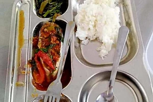 Gián xuất hiện trong bữa ăn: Sở GD&ĐT chỉ đạo giải quyết