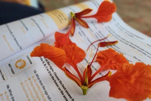 Học sinh "cầu hôn" giữa sân trường: Chuyện gì đang xảy ra?